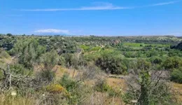 Aste giudiziarie immobiliari online - 6.0