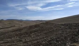 Aste giudiziarie immobiliari online - 11.0