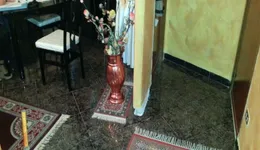 Aste giudiziarie immobiliari online - 7.0