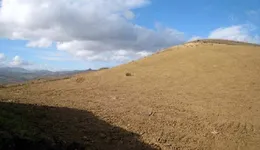 Aste giudiziarie immobiliari online - 6.0