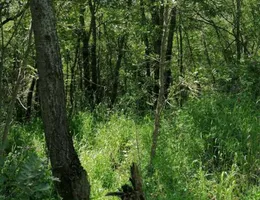 Aste giudiziarie immobiliari online - 5.0