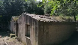 Aste giudiziarie immobiliari online - 2.0