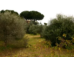 Aste giudiziarie immobiliari online - 4.0