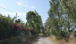 Aste giudiziarie immobiliari online - 6.0