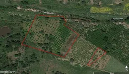 Aste giudiziarie immobiliari online - 3.0