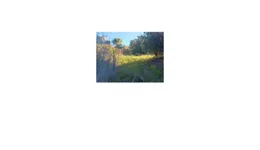 Aste giudiziarie immobiliari online - 5.0