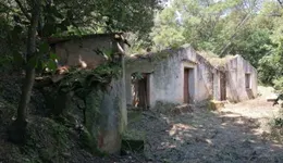 Aste giudiziarie immobiliari online - 10.0
