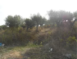 Aste giudiziarie immobiliari online - 4.0