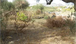 Aste giudiziarie immobiliari online - 7.0