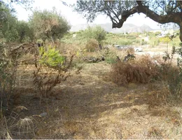 Aste giudiziarie immobiliari online - 7.0