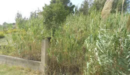 Aste giudiziarie immobiliari online - 6.0