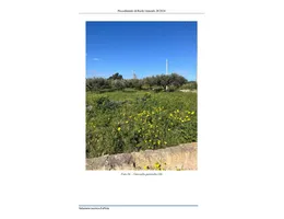 Aste giudiziarie immobiliari online - 12.0