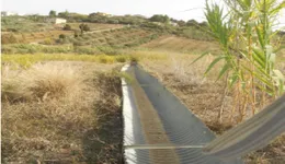 Aste giudiziarie immobiliari online - 12.0