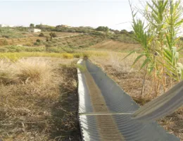 Aste giudiziarie immobiliari online - 12.0