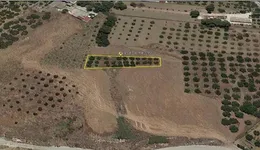 Aste giudiziarie immobiliari online - 9.0