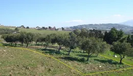 Aste giudiziarie immobiliari online - 2.0