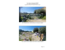 Aste giudiziarie immobiliari online - 1.0