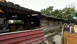 Aste giudiziarie immobiliari online - 9.0