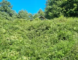 Aste giudiziarie immobiliari online - 4.0