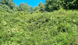 Aste giudiziarie immobiliari online - 1.0