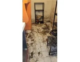 Aste giudiziarie immobiliari online - 9.0