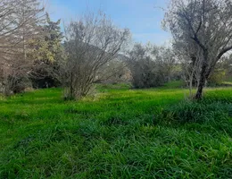 Aste giudiziarie immobiliari online - 6.0