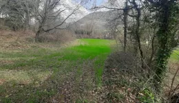 Aste giudiziarie immobiliari online - 9.0