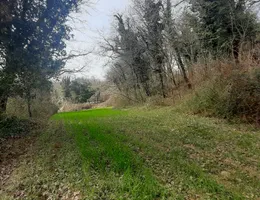 Aste giudiziarie immobiliari online - 5.0