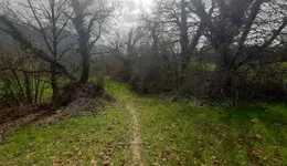 Aste giudiziarie immobiliari online - 6.0