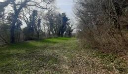 Aste giudiziarie immobiliari online - 5.0