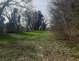 Aste giudiziarie immobiliari online - 3.0