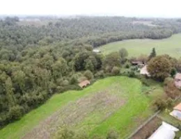 Aste giudiziarie immobiliari online - 11.0