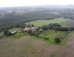 Aste giudiziarie immobiliari online - 8.0