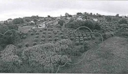 Aste giudiziarie immobiliari online - 11.0