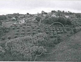 Aste giudiziarie immobiliari online - 10.0