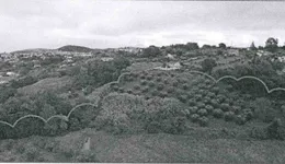 Aste giudiziarie immobiliari online - 2.0