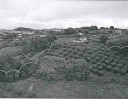 Aste giudiziarie immobiliari online - 2.0