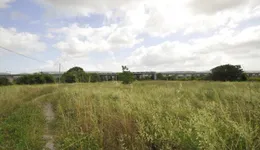 Aste giudiziarie immobiliari online - 8.0