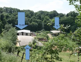 Aste giudiziarie immobiliari online - 11.0