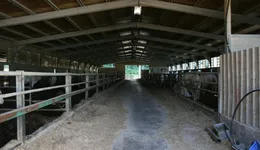 Aste giudiziarie immobiliari online - 6.0