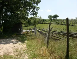 Aste giudiziarie immobiliari online - 5.0