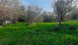 Aste giudiziarie immobiliari online - 7.0