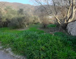 Aste giudiziarie immobiliari online - 7.0