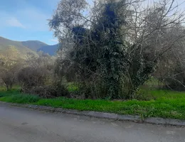 Aste giudiziarie immobiliari online - 5.0