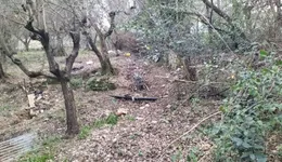 Aste giudiziarie immobiliari online - 1.0