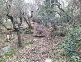 Aste giudiziarie immobiliari online - 9.0