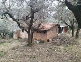 Aste giudiziarie immobiliari online - 12.0