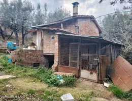 Aste giudiziarie immobiliari online - 1.0