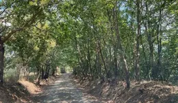 Aste giudiziarie immobiliari online - 3.0