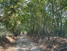 Aste giudiziarie immobiliari online - 12.0